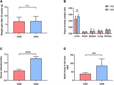 Vitamin A Deficiency Exacerbates Gut Microbiota Dysbiosis and Cognitive Deficits in Amyloid Precursor Protein/Presenilin 1 Transgenic Mice